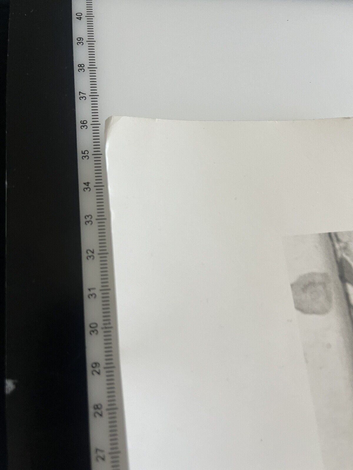 5503219