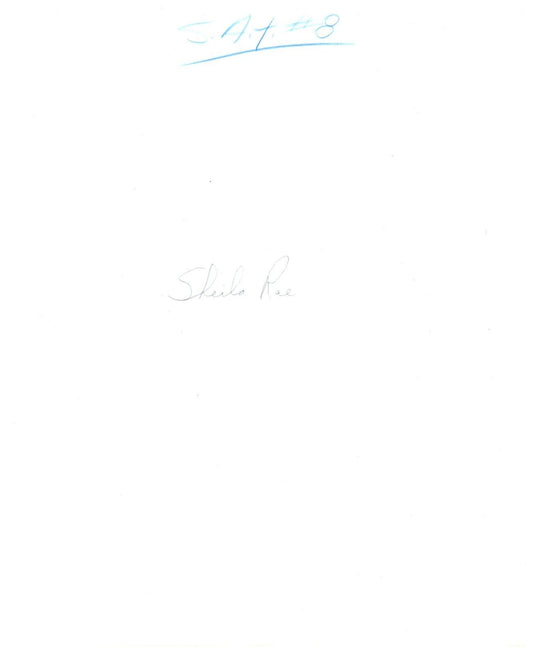 5281373