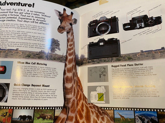 5279475