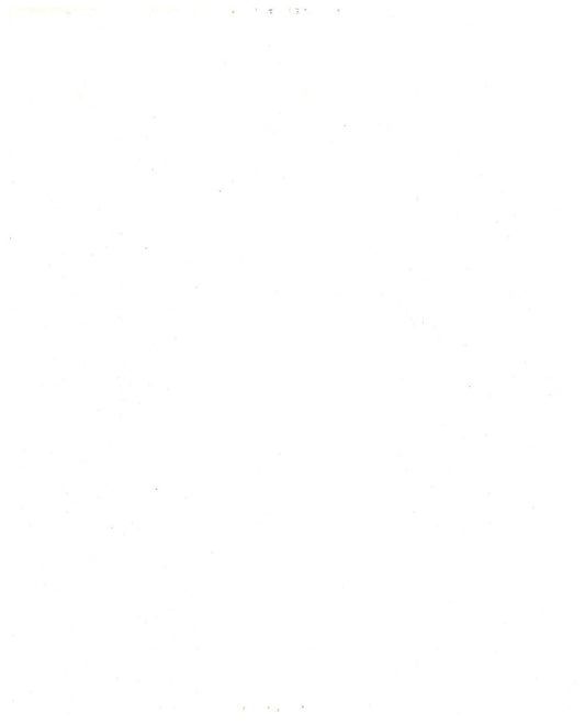 5281394