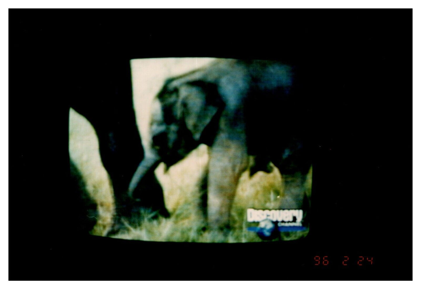 5787843
