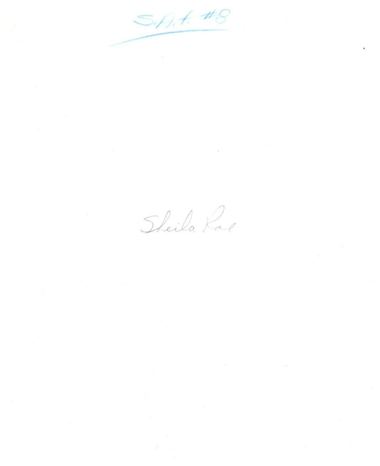 5281401